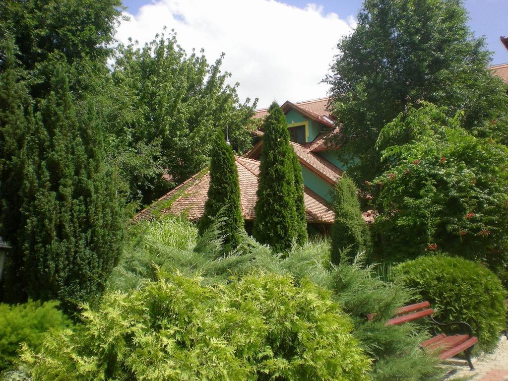 Vinski Dvor Палич Экстерьер фото